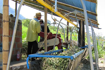 Cable Vías, Ganadería