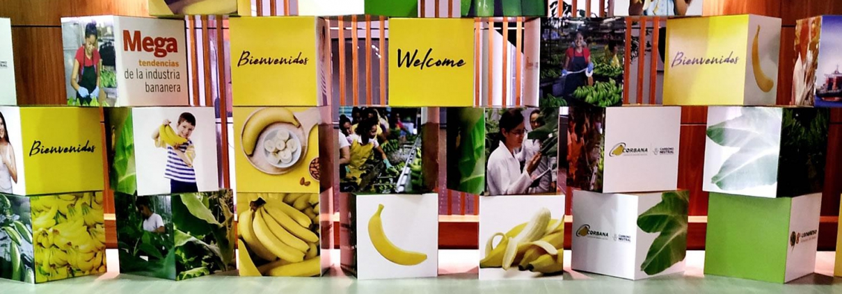 Centro Aceros Cogreso Internacional del banano 2019