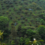 Feria Territorio Aguacate Medellín 2021